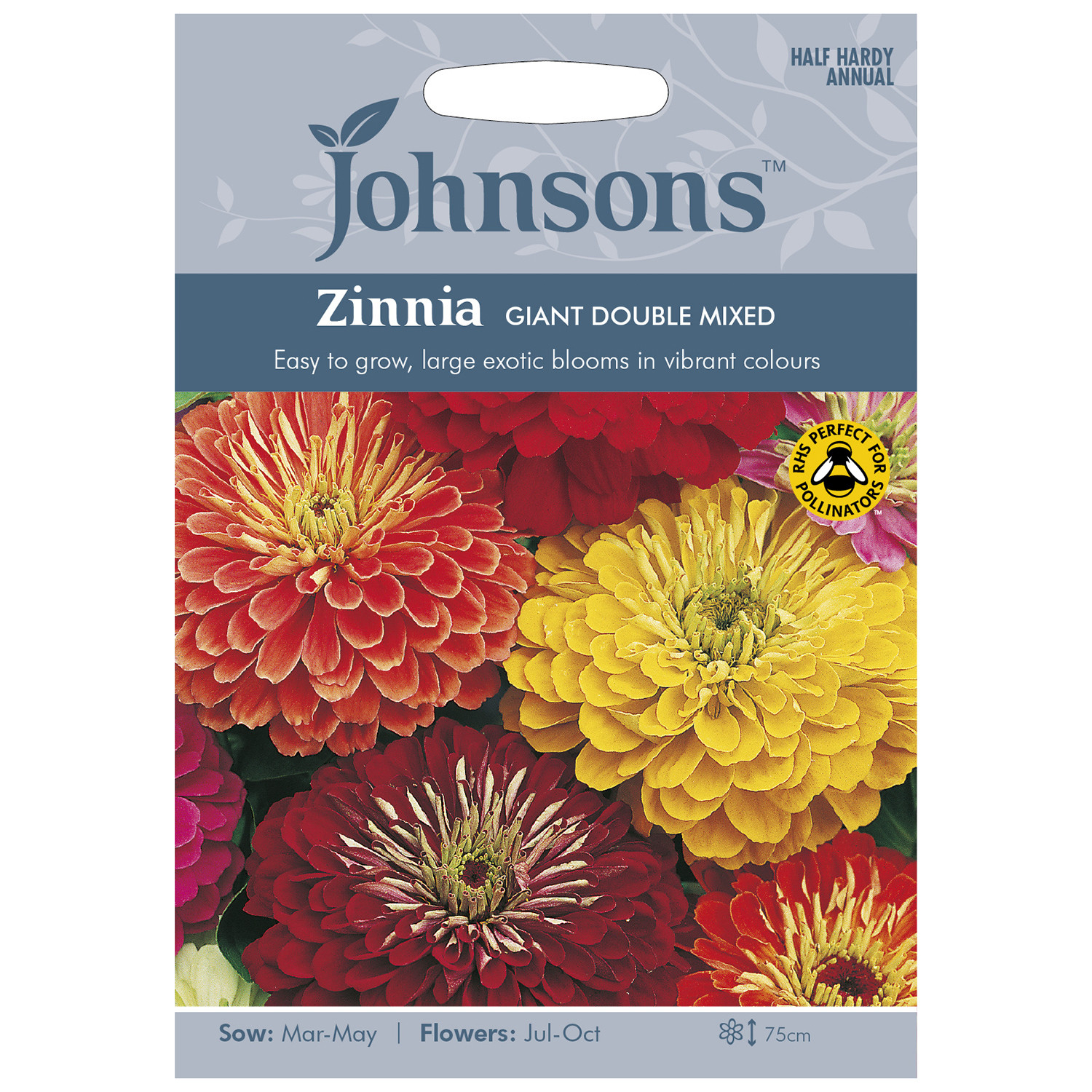 Pack of Giant Double Mixed Zinnia Flower Seeds