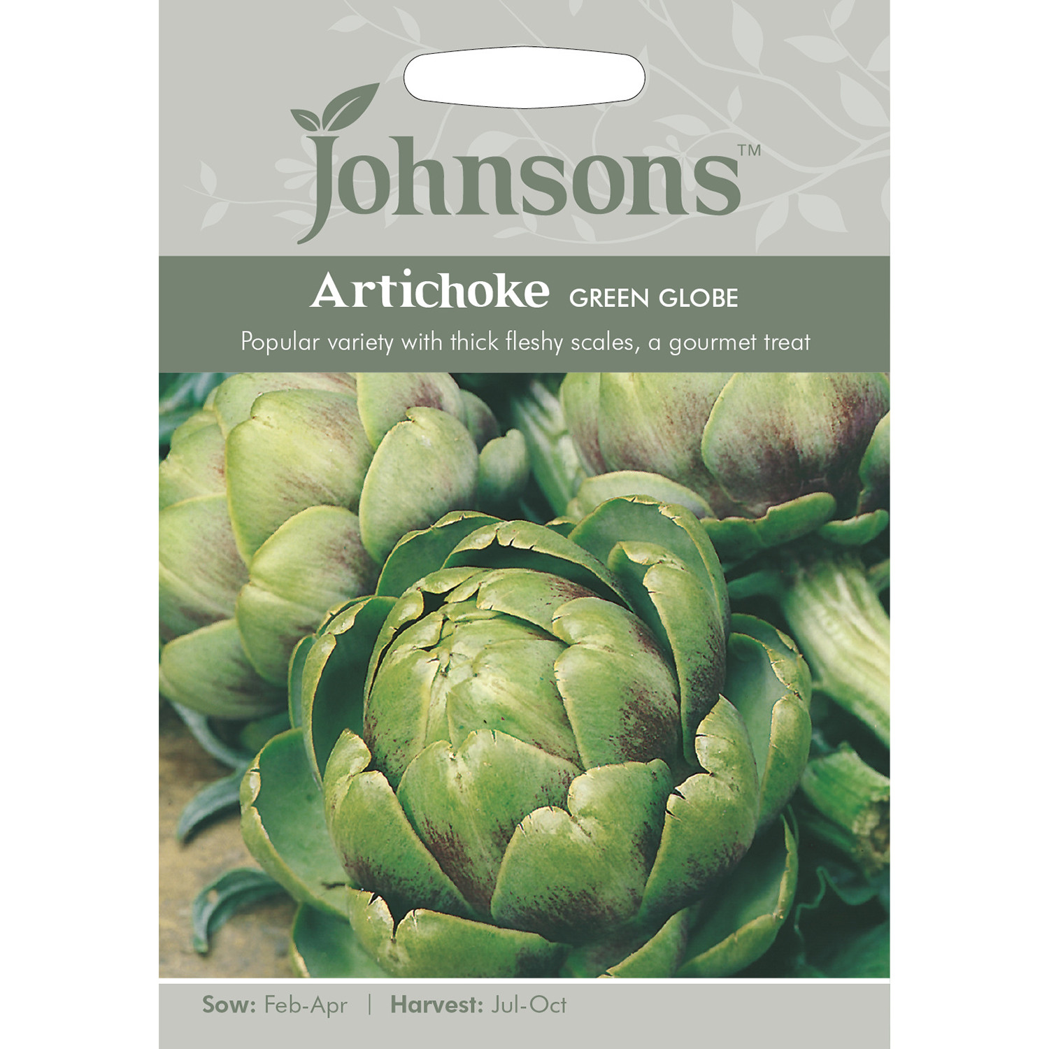 Johnsons Artichoke Green Globe Seeds