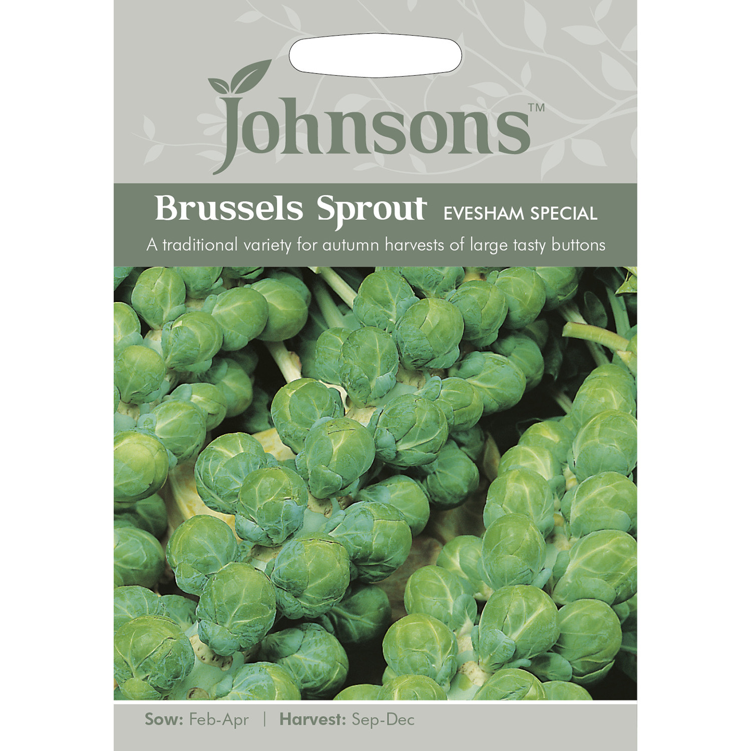 Pack of Evesham Special Brussels Sprout Seeds