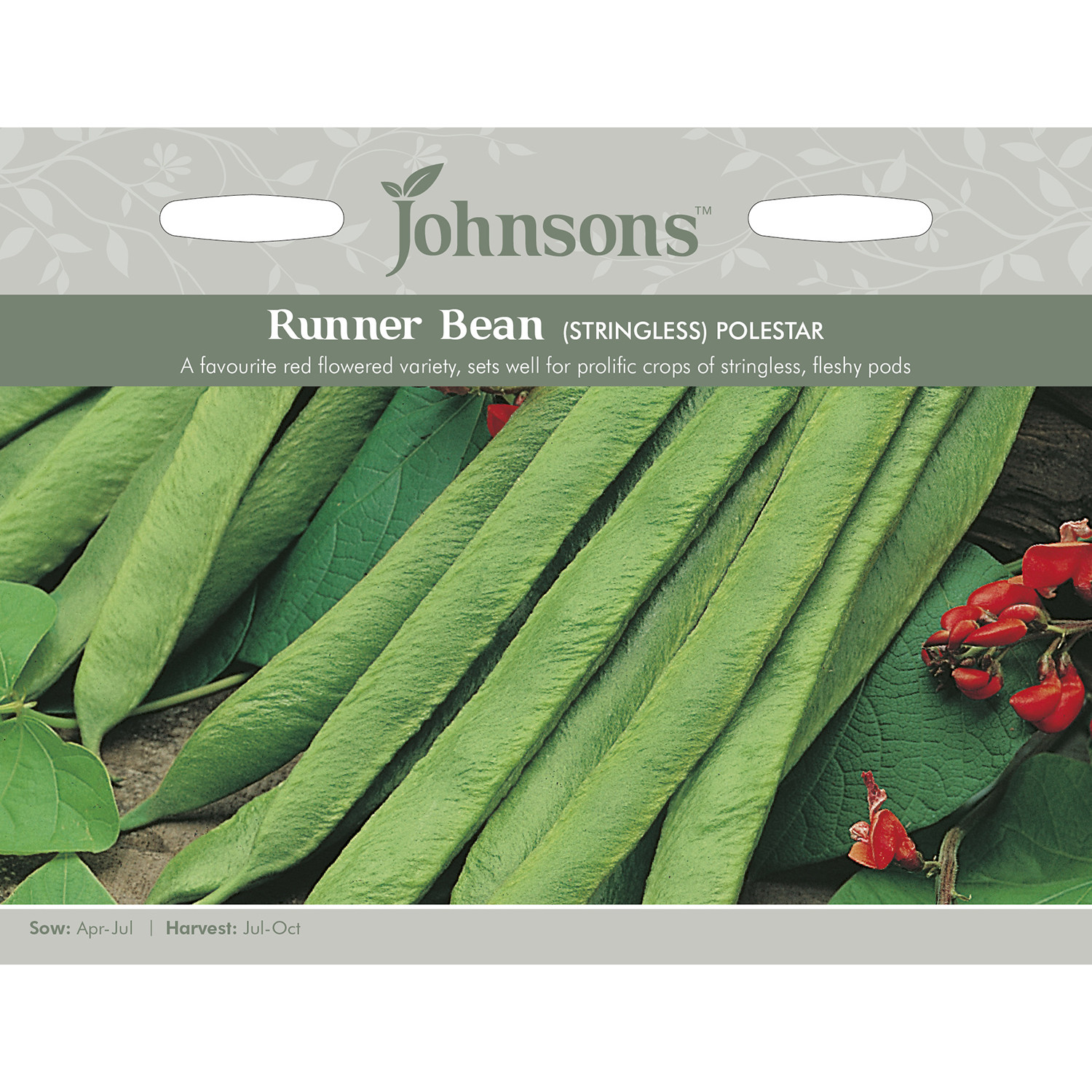 Pack of Polestar Stringless Runner Bean Seeds
