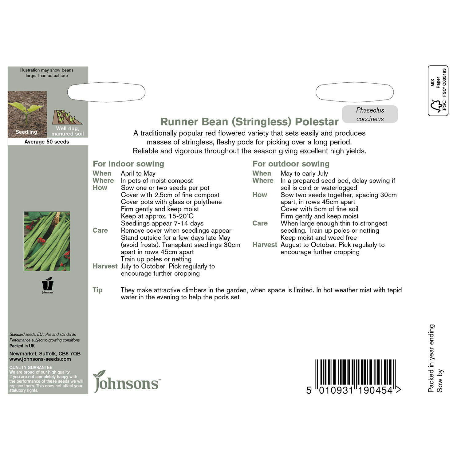 Pack of Polestar Stringless Runner Bean Seeds