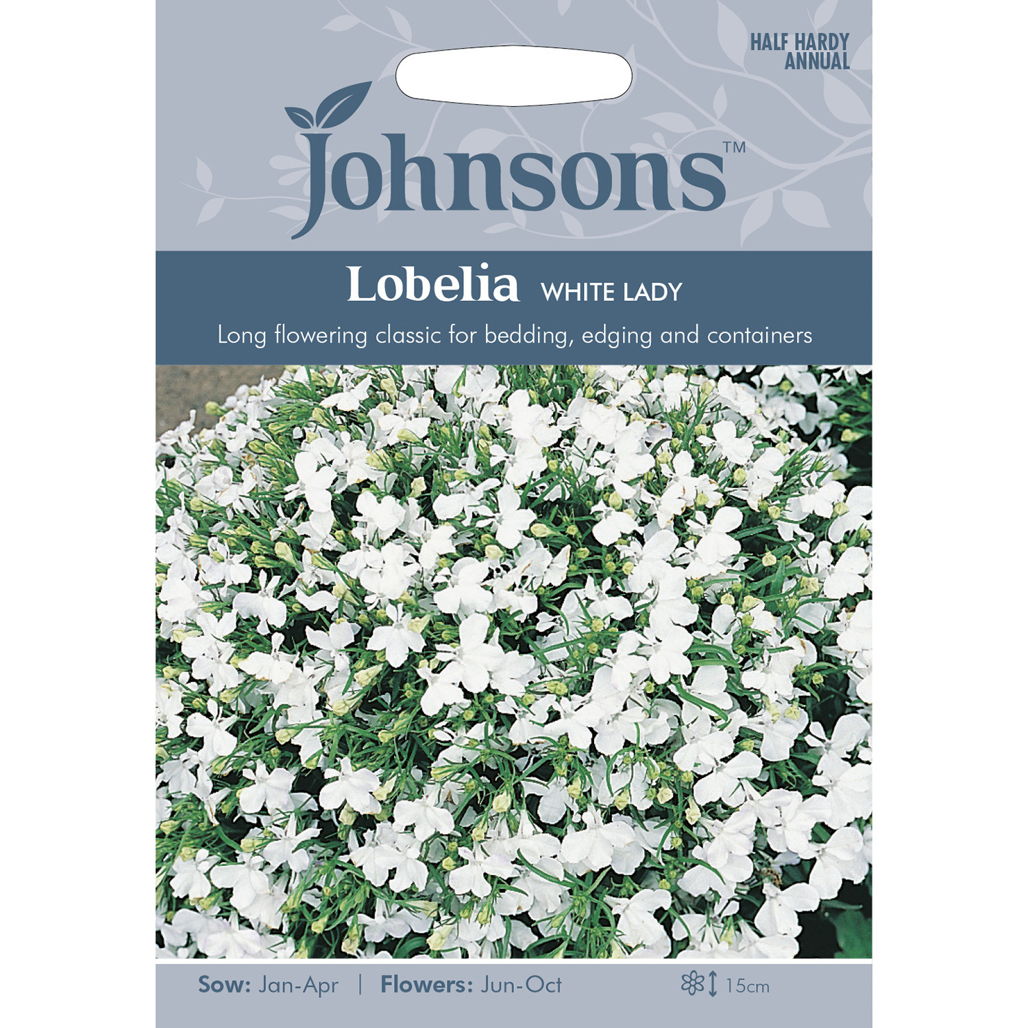 Johnsons Lobelia White Lady Flowers