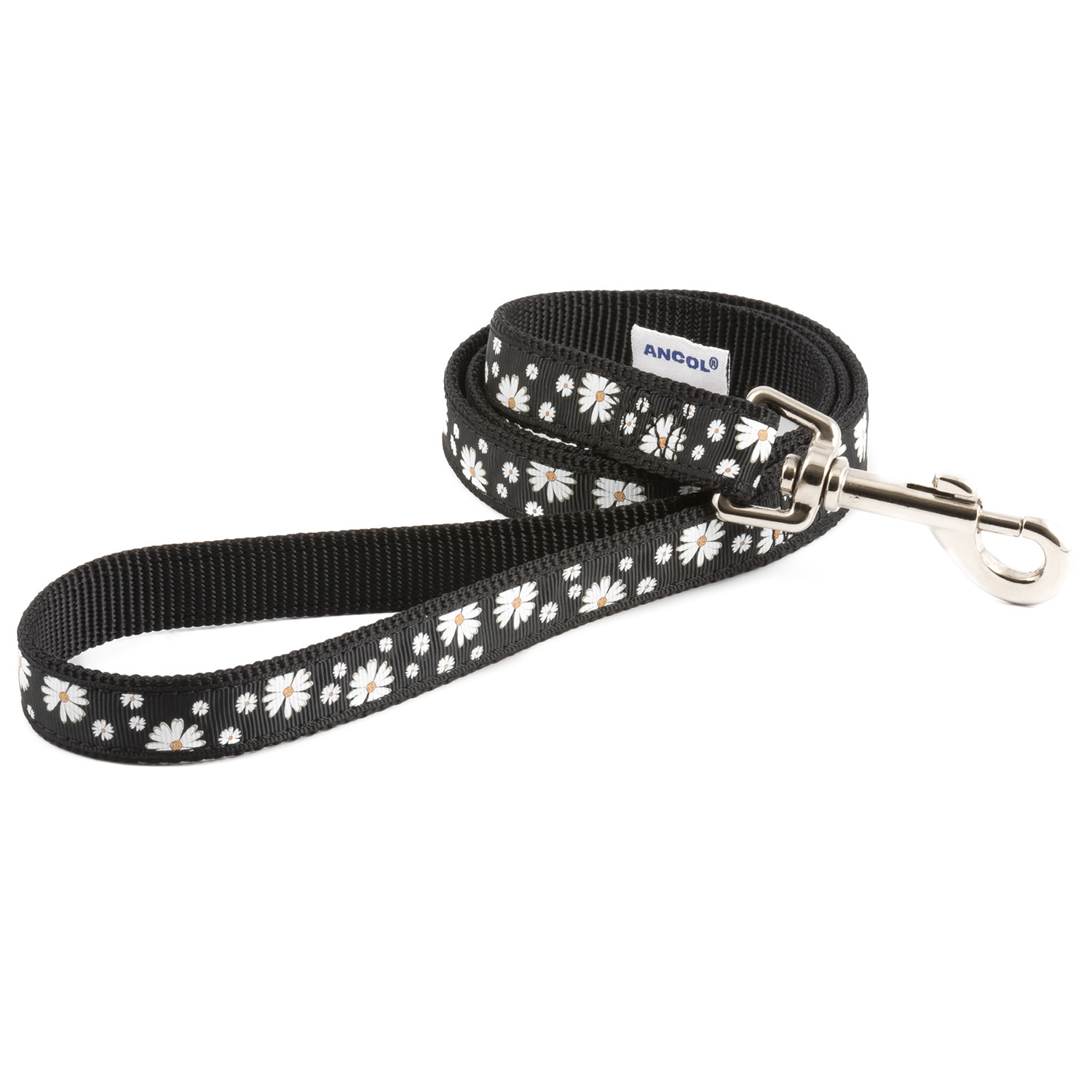 Black Daisy Lead